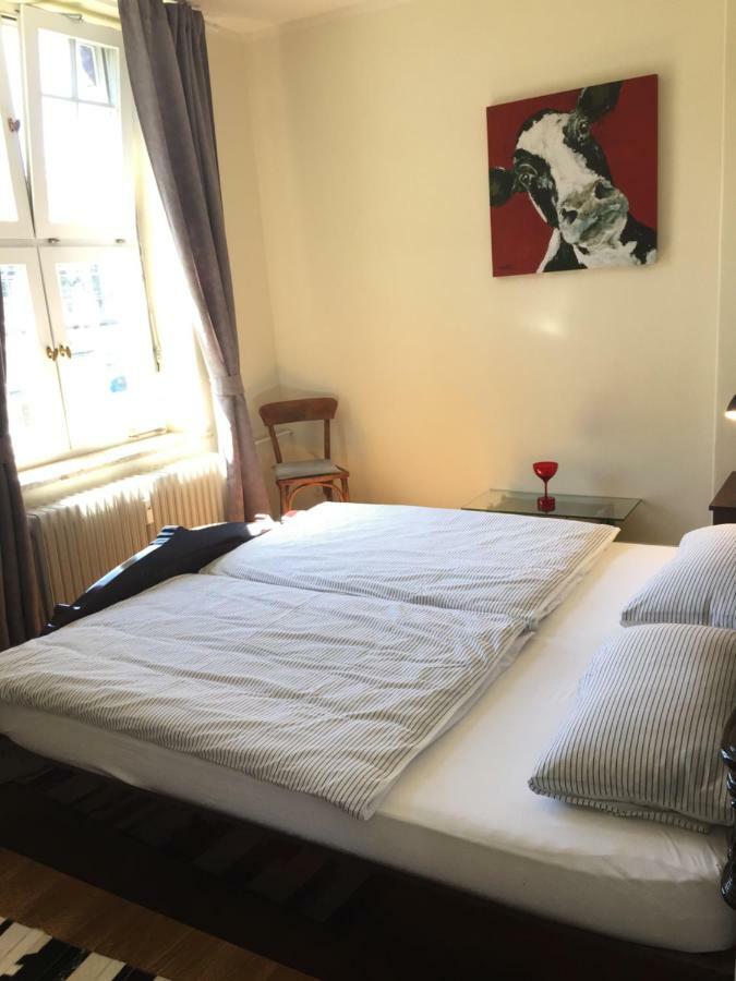 Trash De Luxe Apartment Schleswig Luaran gambar